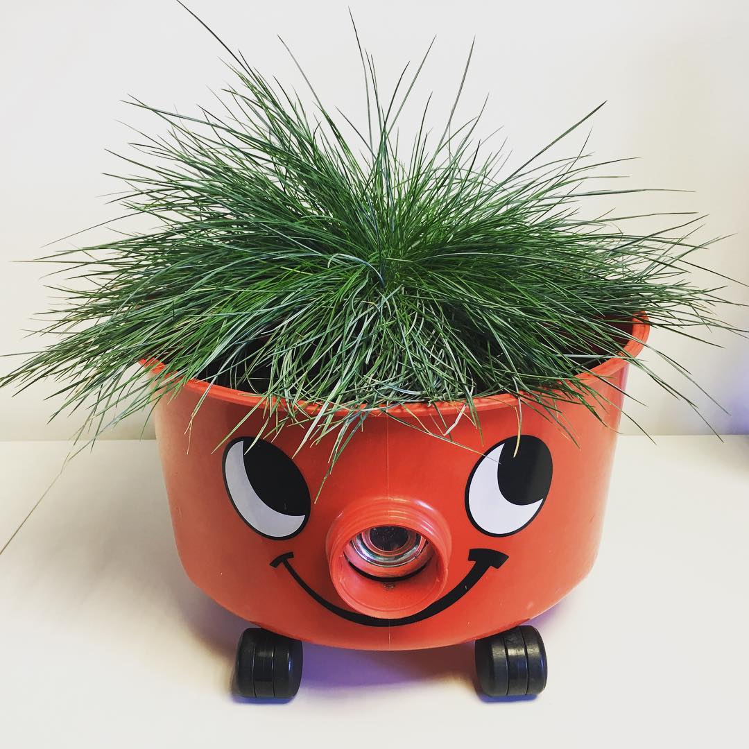The office Henry enjoying retirement. #landscapearchitectlife #upcycled